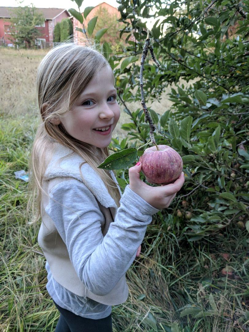 Cadence found an apple tree with an apple on it!