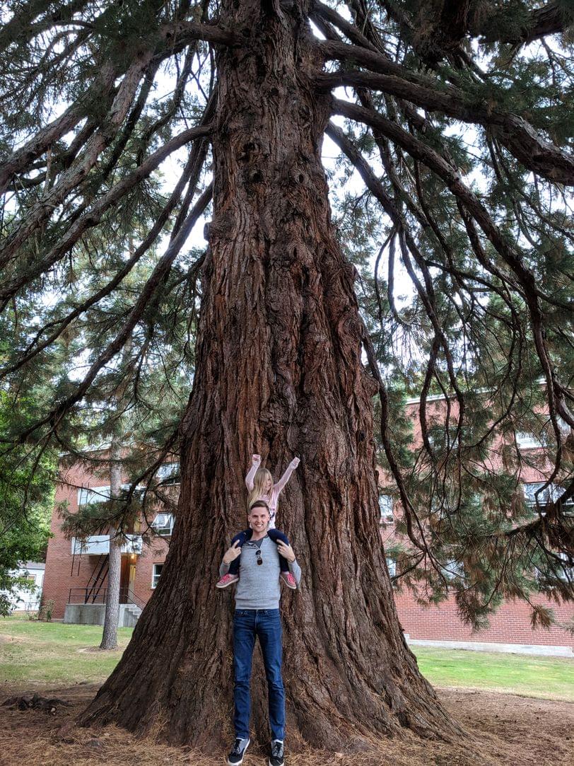 Daddy and Cadence vs the big trees